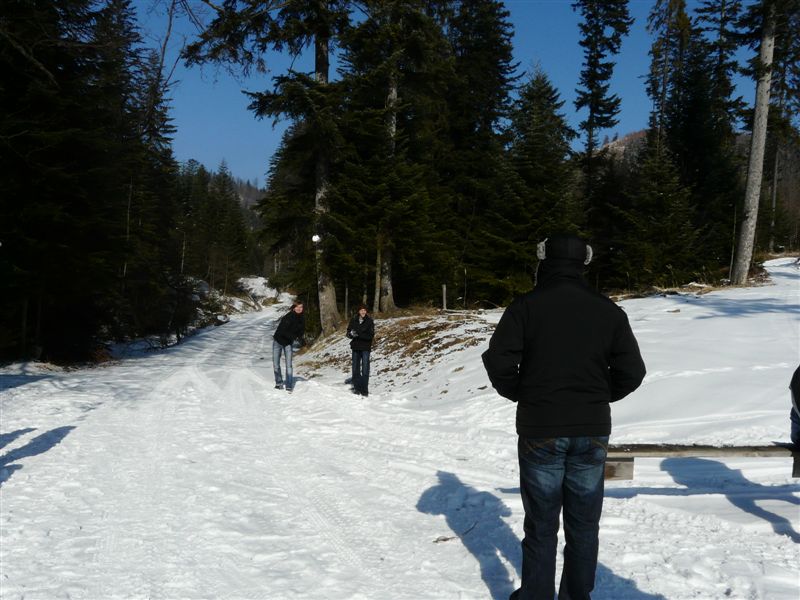 Sidzina 115